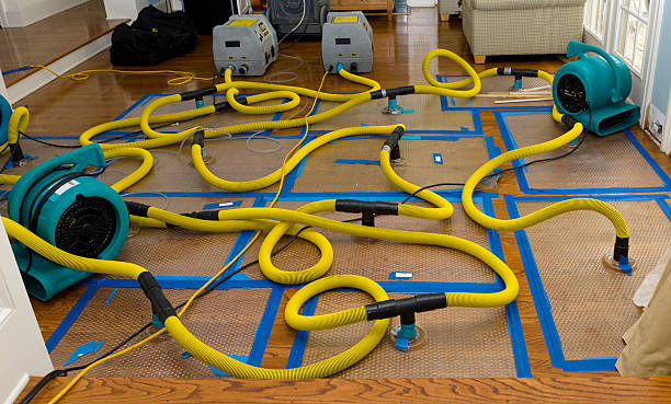 Professional Crawl Space Water Removal technician working in Taylorsville, MS
